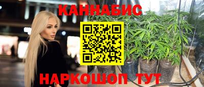 молекула духа Лесосибирск