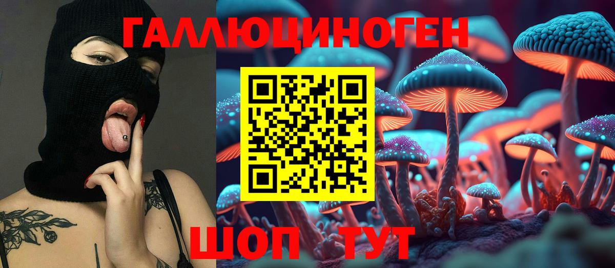 Татарск  Псилоцибиновые грибы Psilocybe  Вход с VPN  Псилоцибиновые грибы прущие грибы 
